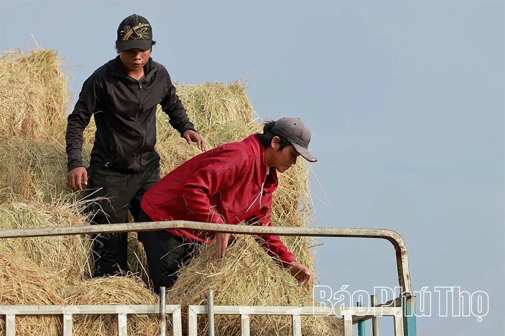 Bức họa đồng quê